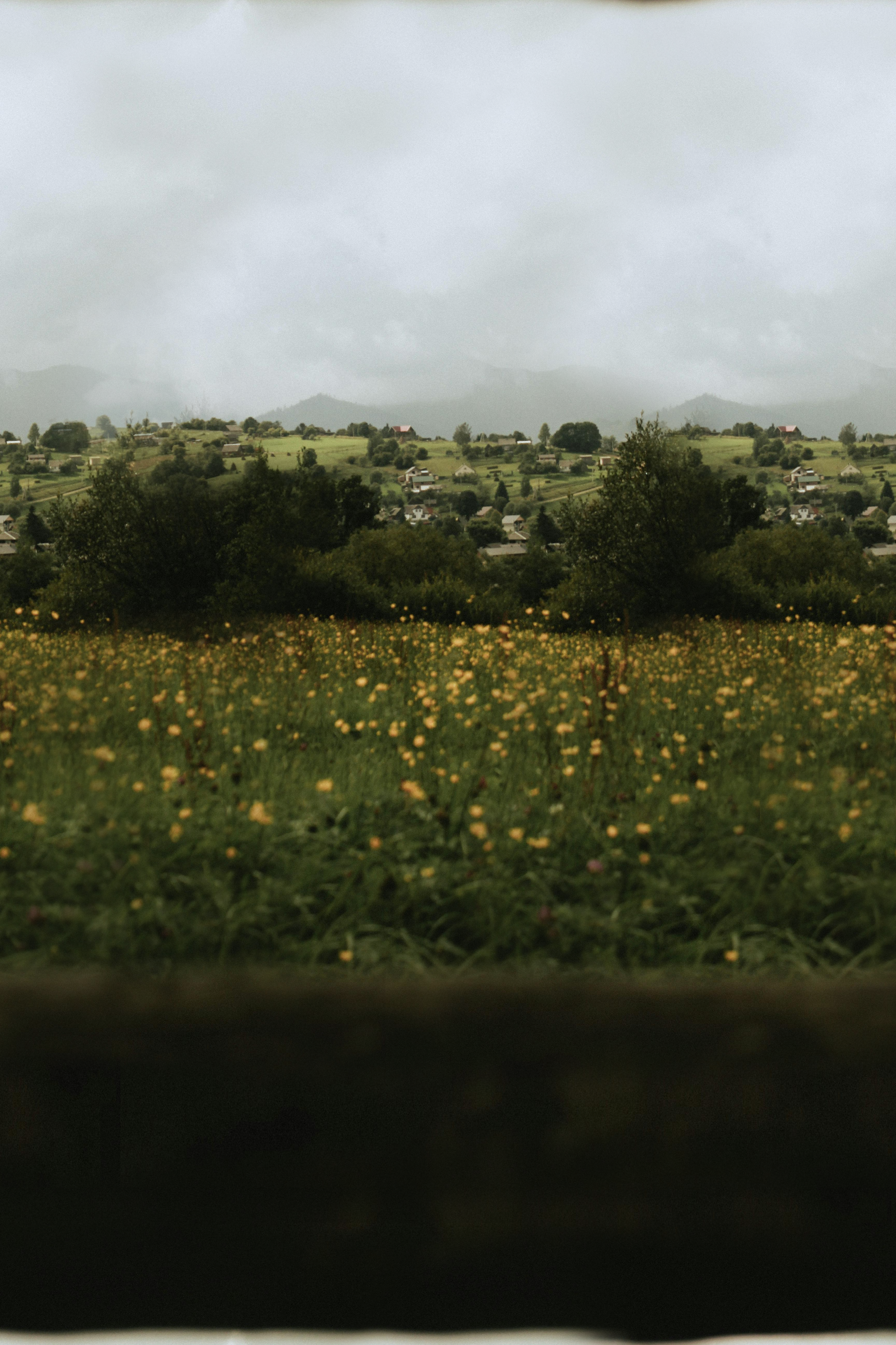 Cottagecore background